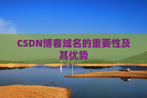 CSDN博客域名的重要性及其优势